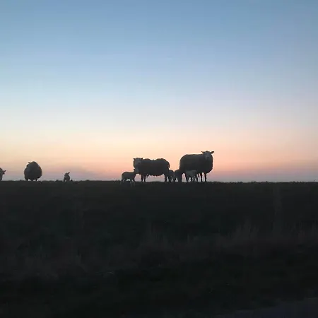 De Oude Skuur Texel 3* Oosterend (Texel)