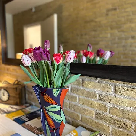 Bed & Breakfast De Oude Skuur Texel Oosterend (Texel)