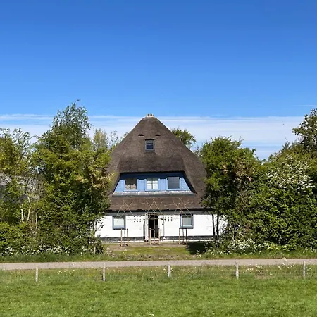 De Oude Skuur Texel *