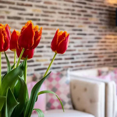 De Oude Skuur Texel 3*