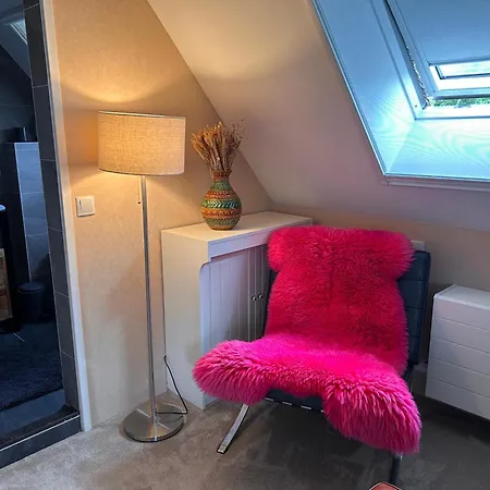 De Oude Skuur Texel B&B 3*